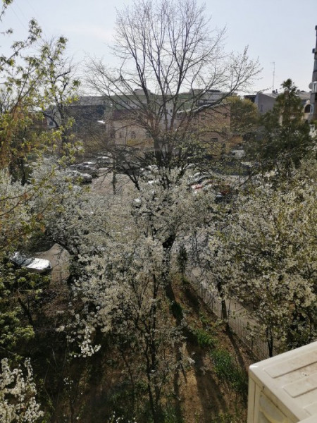 Vanzare garsoniera spatioasa, zona Stefan cel Mare-Bucur Obor