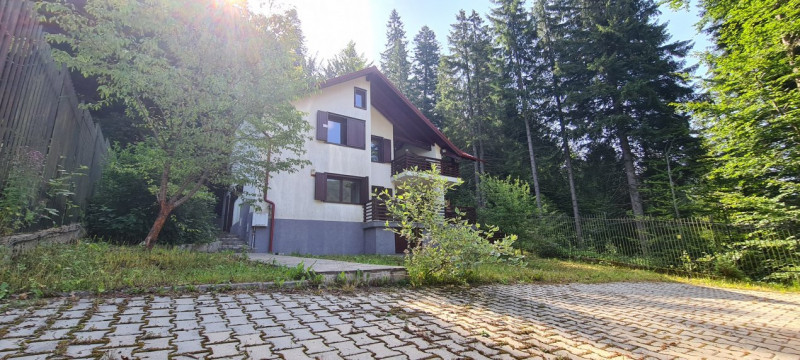 Forest House Villa - afacere la cheie in Predeal
