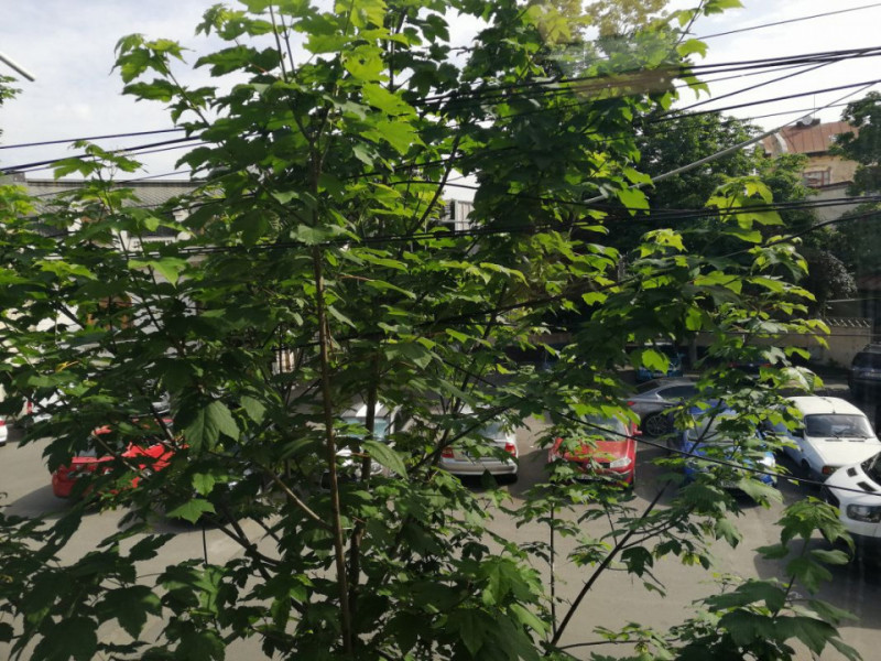 Inchiriere casa trei camere, zona Mosilor Armeneasca