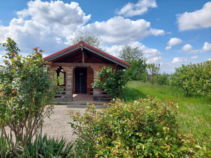 Vanzare teren 1900 mp in Ciolpani