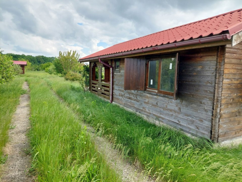 Vanzare teren 1900 mp in Ciolpani