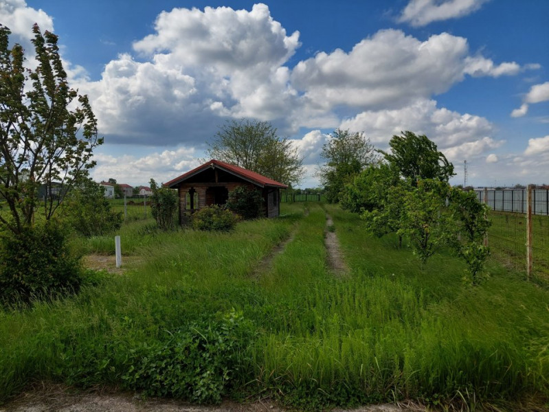 Vanzare teren 1900 mp in Ciolpani