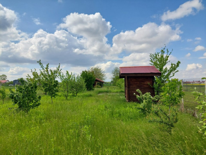 Vanzare teren 1900 mp in Ciolpani