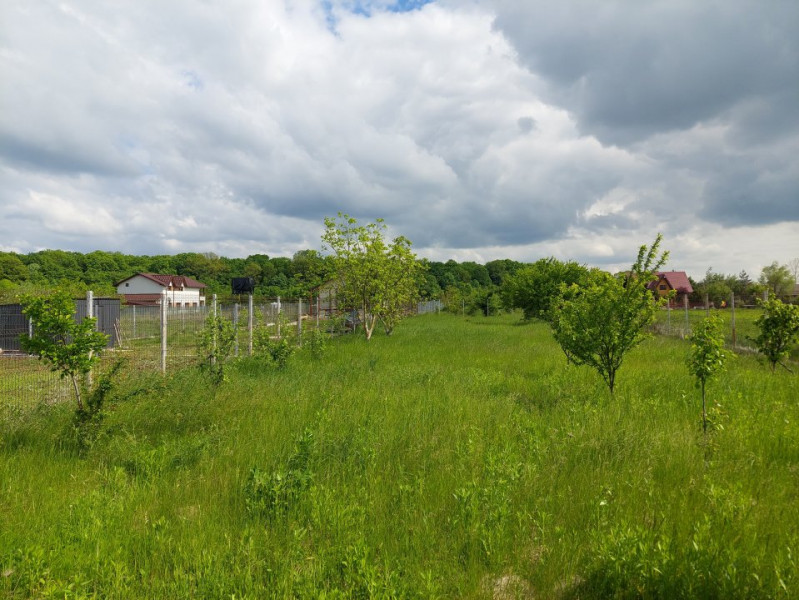 Vanzare teren 1900 mp in Ciolpani