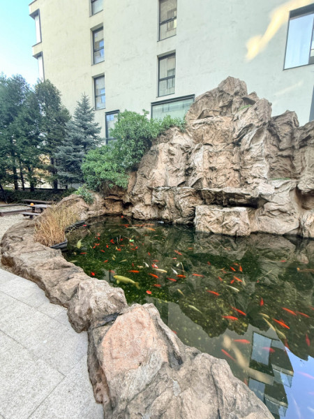 Apartament premium de închiriat | Herăstrău – Aviatiei | North Area Lake View